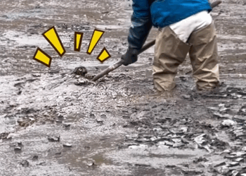 A loving man adopted a tiger cub that was abandoned by its mother and