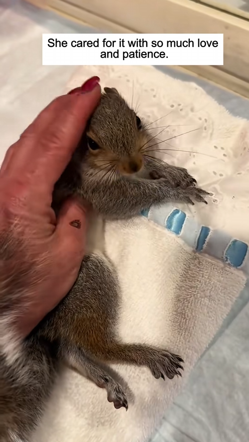 From tiny egg big friendship gree day by day. rescue animal
