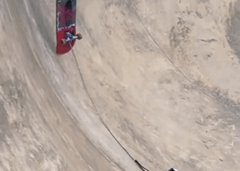 The woman rescued poor goose from dogs attack animal