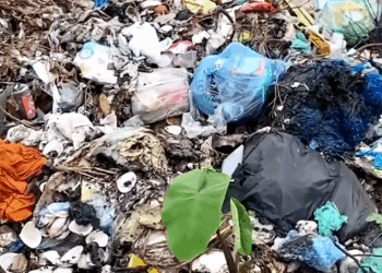 Cat bleeding and unable to move rescued in critical state